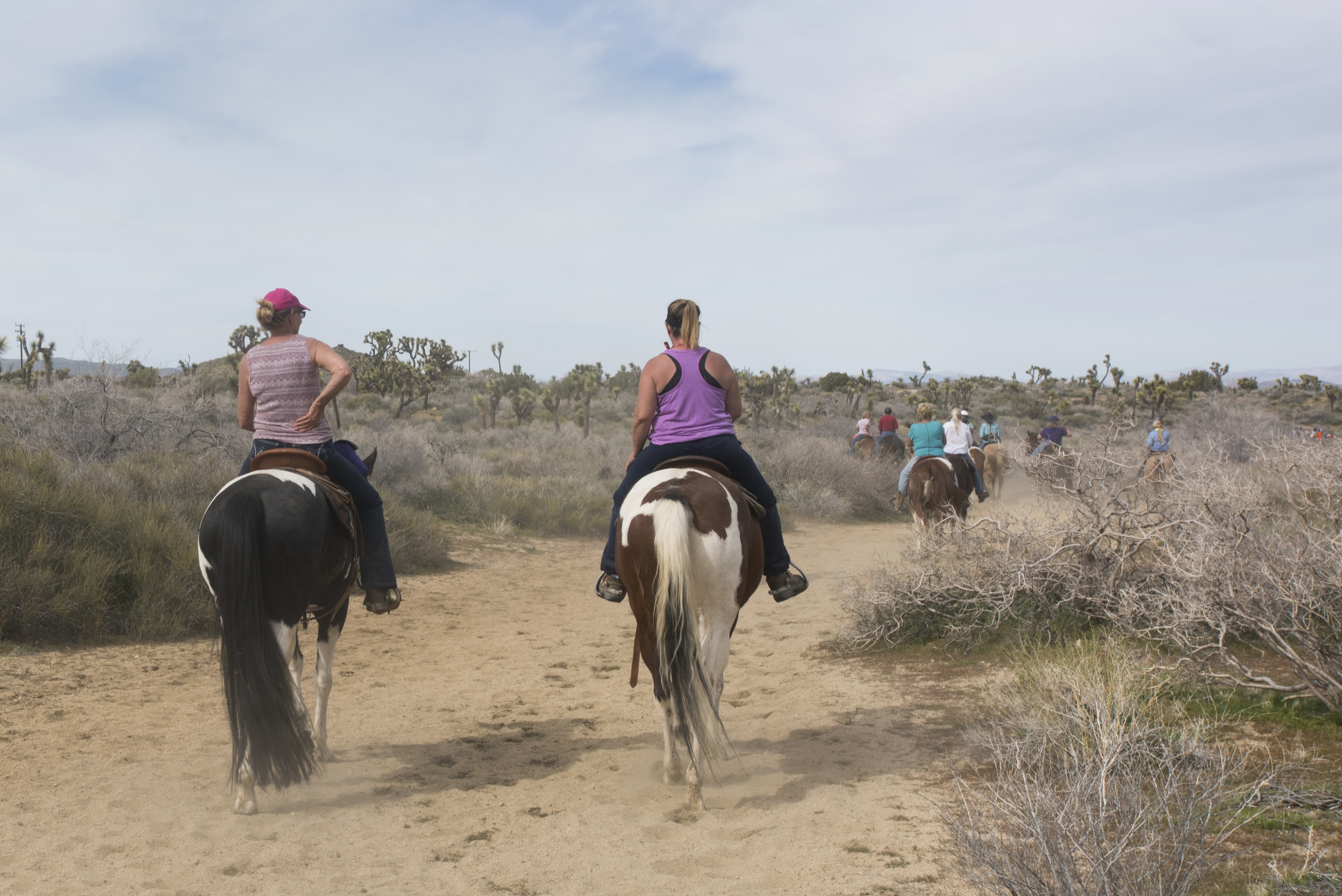 Horseback riding on a California trail